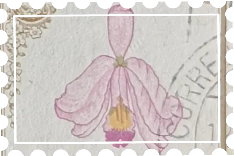 Orquideas 3