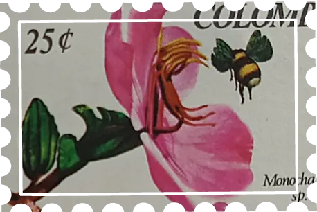 Orquideas 5