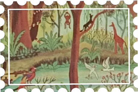 Selva 