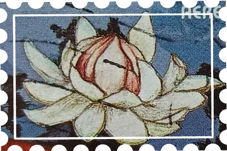 Flores amazónicas