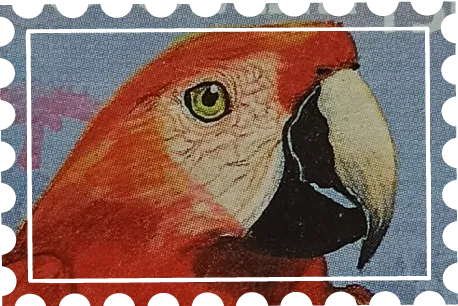 Papagayo 