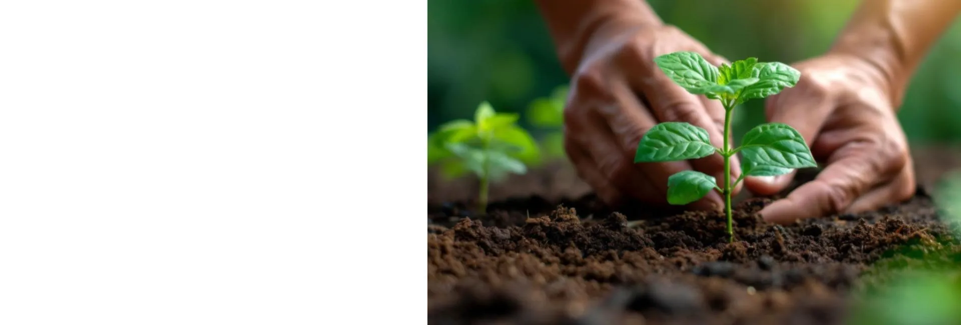CLOUDLABS - Agricultura