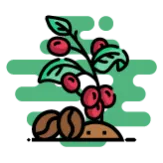 Región Andina