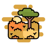 Región Orinoquía