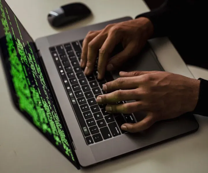 persona interactuando en computador