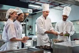 Programa de gastronomía 