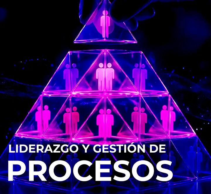 Liderazgo y gestión de procesos