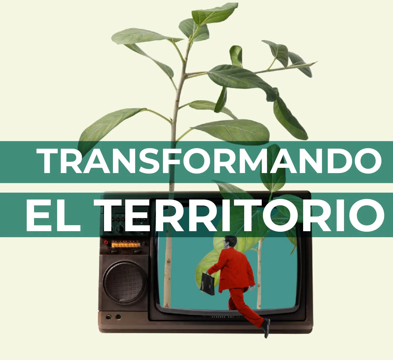 Transformando el Territorio