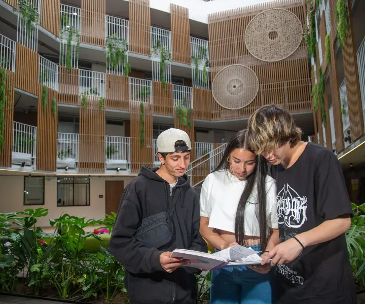 Estudiantes universitarios leyendo libro