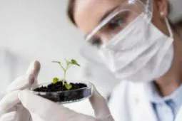 Especialización en Suelos y Nutrición Vegetal