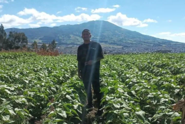 estudiante de UNIMINUTO con proyecto de girasoles en Nariño