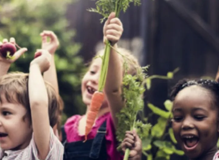 Niños con cosecha