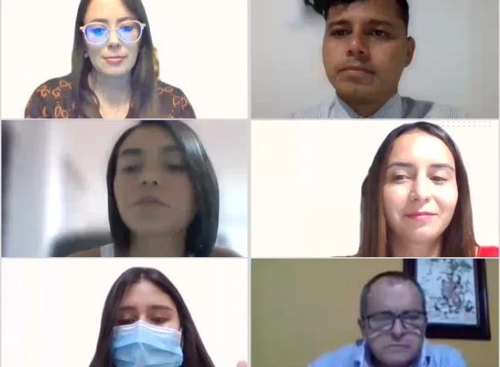Panatallazo de la reunión con 6 asistentes al entremés.