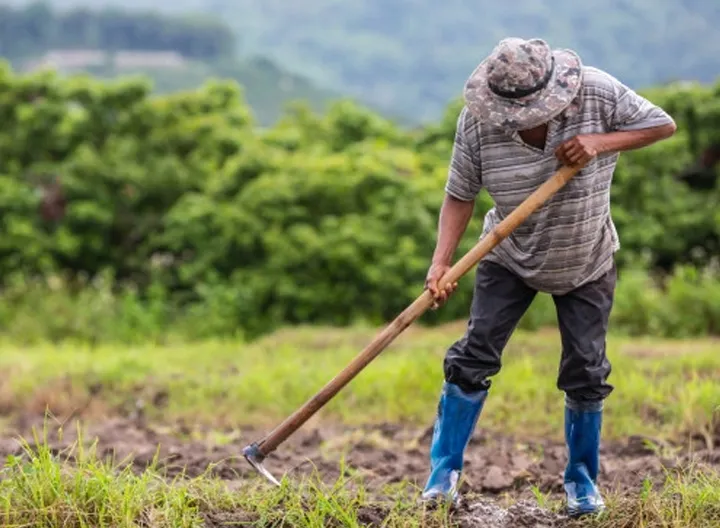 Hacia una producción agrícola más amigable con los campesinos