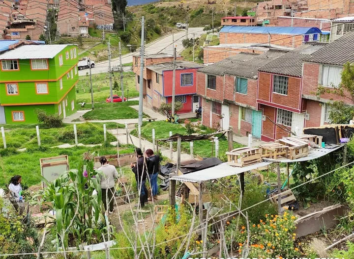 Las pequeñas acciones transforman el mundo