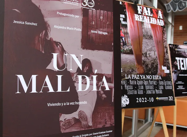 Poster de propuestas audiovisuales de Miradas de la sabana 
