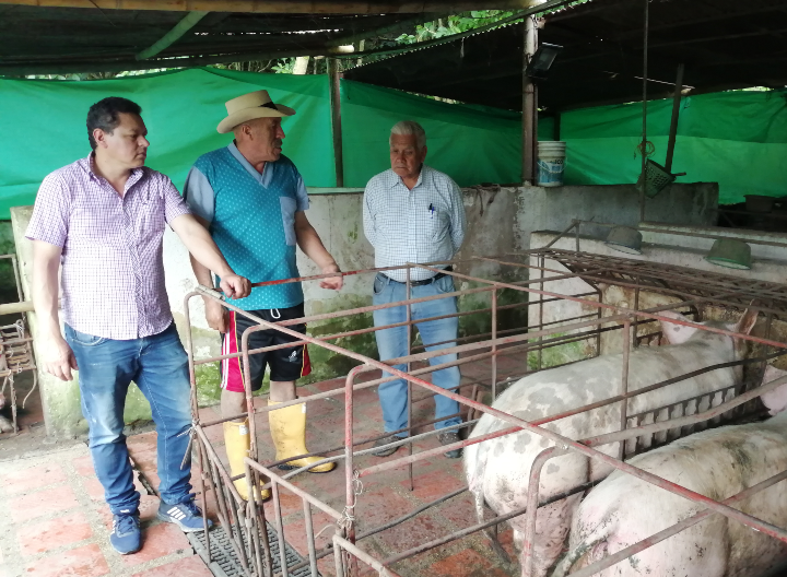 Acompañamiento a porcicultores por parte de coordinadores