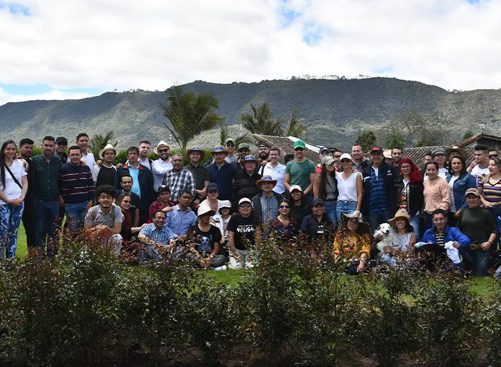 Colaboradores UBVD