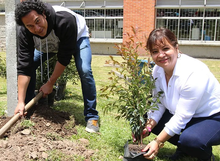 Colaboradores viven una jornada de siembra en los centros regionales