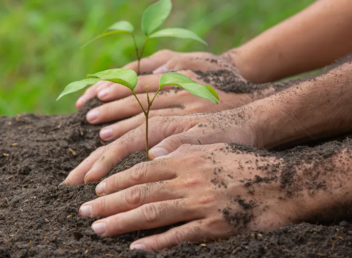 Jornada ambiental en Altos de Cazucá