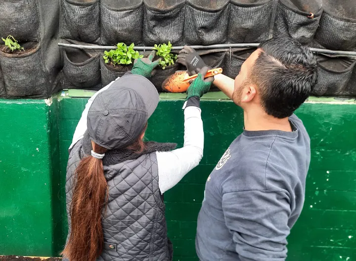Estudiante construyendo Jardín vertical