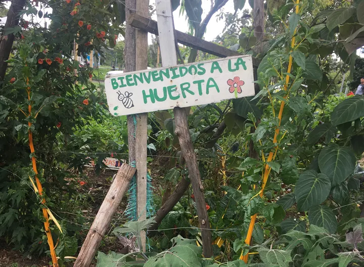 Huertobog