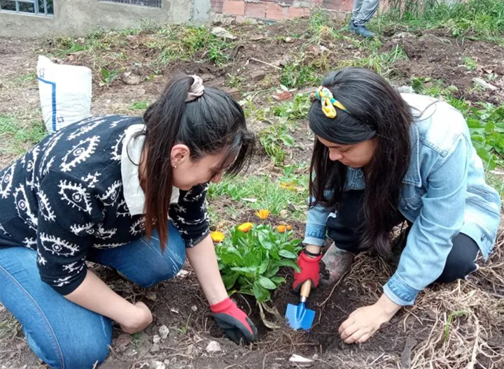 Trabajo comunitario y apoyo de los estudiantes