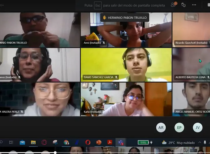 Encuentro Virtual Proyecto COIL