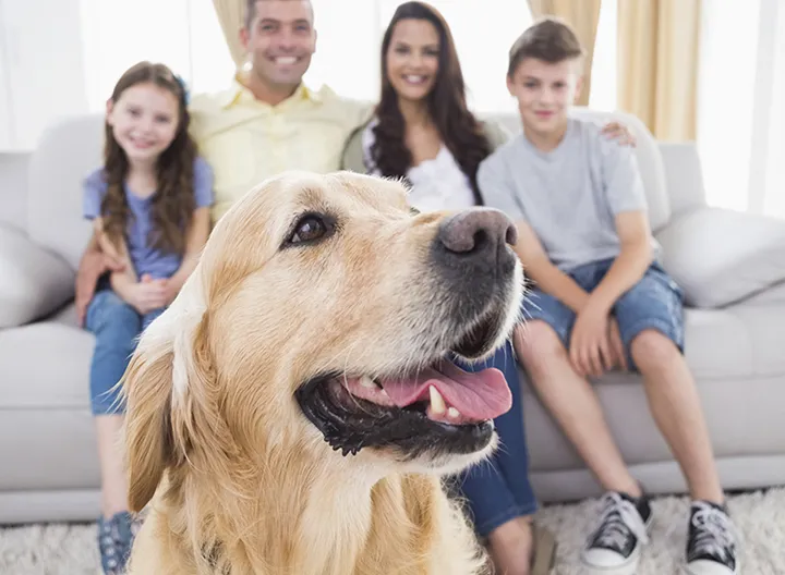 Perri reunido con la familia