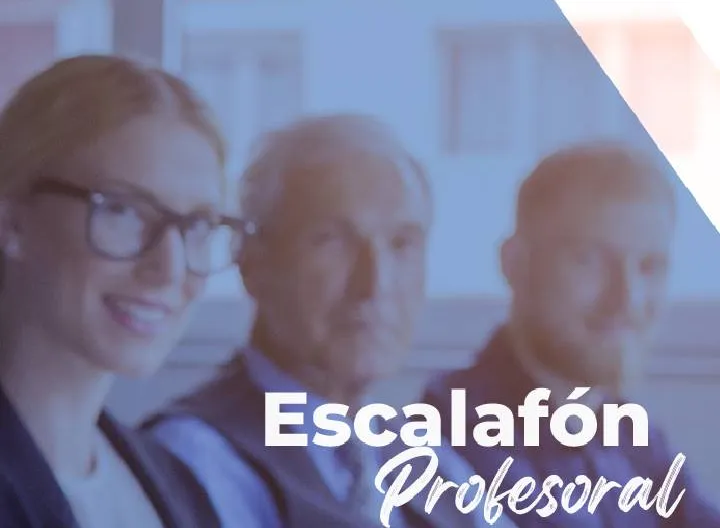 escalafón profesoral
