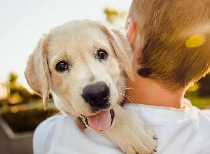 Niño abrazando un perro