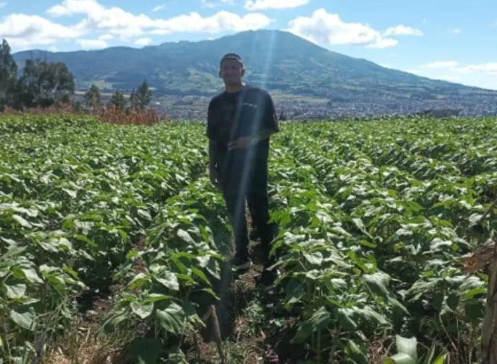 estudiante de UNIMINUTO con proyecto de girasoles en Nariño