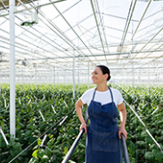Técnico_Laboral_Auxiliar_de_Trabajo_Agrícola_UNIMINUTO