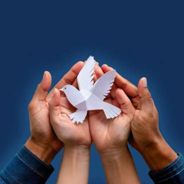 Banner-maestria-paz-y-gestion