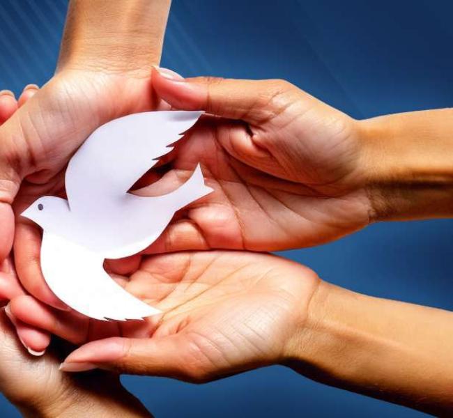 Banner-maestria-paz-y-gestion