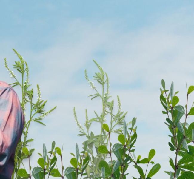 Especialización en Suelos y Nutrición Vegetal