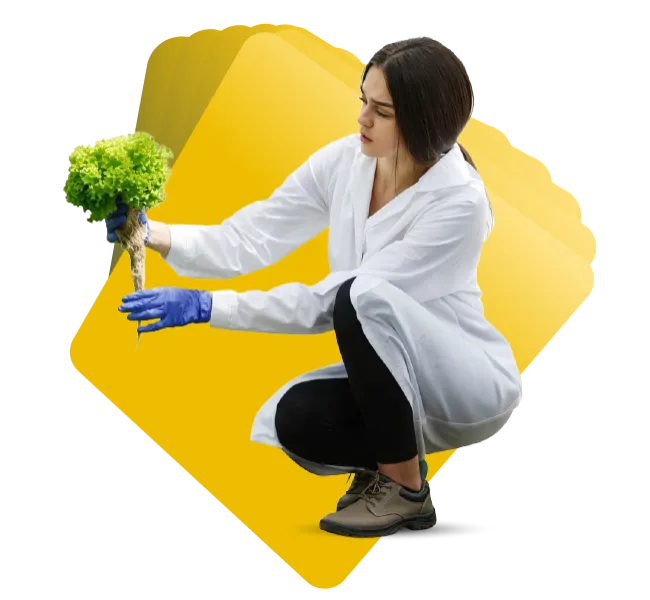 Especialización en Suelos y Nutrición Vegetal